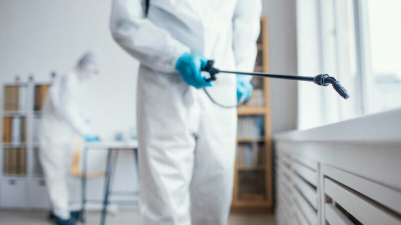 Implantação de Dedetização Sustentável em Empresas